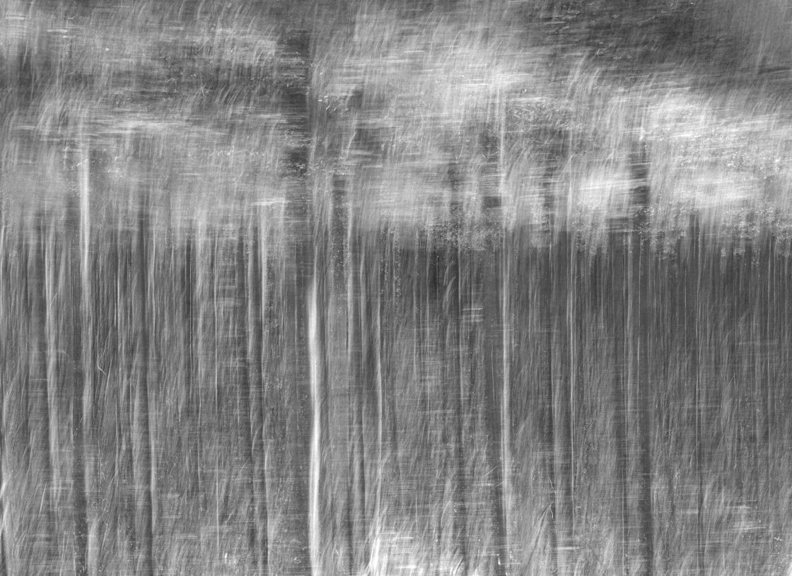 Roadside Poles