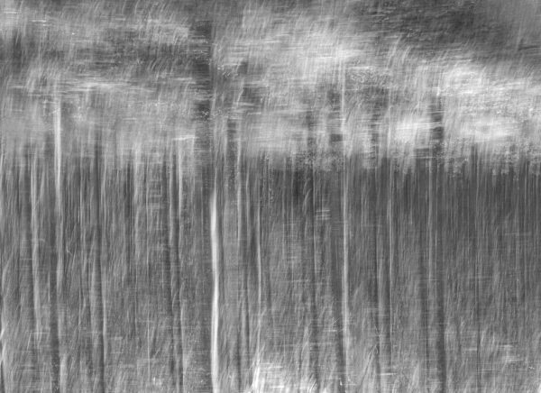 Roadside Poles